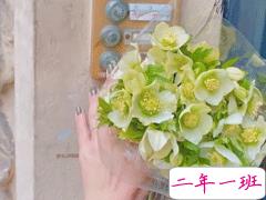 怀恋高中生活的说说 怀恋高中的一切的说说