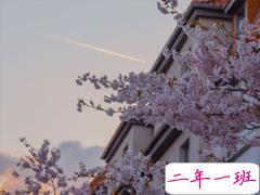 表白失败后的伤感虐心句子 爱而不得的伤感文案