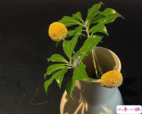 2021高冷而又随性的句子 很洒脱淡然的朋友圈文案2