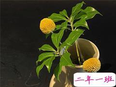 2021高冷而又随性的句子 很洒脱淡然的朋友圈文案