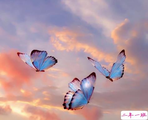 发朋友表达心情寂寞的短句 孤单寂寞的心情短句20212