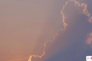 四字干净浪漫励志短句 致自己的四字小短句