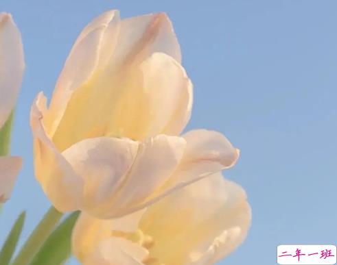 让自己变得开心的句子简短精辟 很有趣的开心短句1