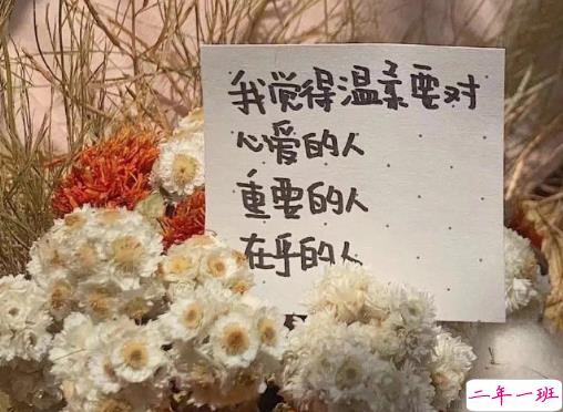 丧系的文案长句精辟2021 抖音丧系文案大全1