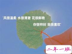 写给前任的的伤感留言 让前任看了心痛的说说