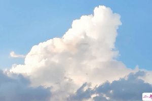 奇葩说很有哲理的金句集锦 奇葩说关于梦想的金句