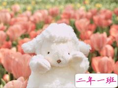 最美最有诗意的告白句子 文艺又走心的表白文案