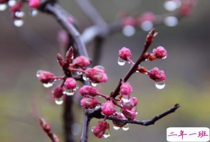 赞美春雨的优美句子 描写春雨的唯美文案1