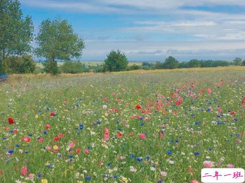适合三月发朋友圈的文艺句子 想和你一起在三月吹春风2