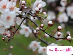 赞美春雨的优美句子 描写春雨的唯美文案