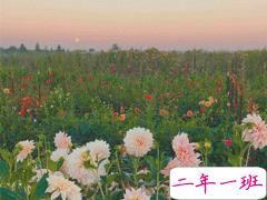 适合三月发朋友圈的文艺句子 想和你一起在三月吹春风