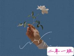 文艺而不俗气的春天文案 2021春季郊游发朋友圈的优美句子