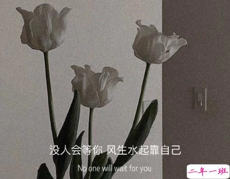 文艺到爆炸的神仙短句 知乎精选的文艺句子2