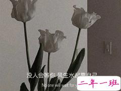 文艺到爆炸的神仙短句 知乎精选的文艺句子