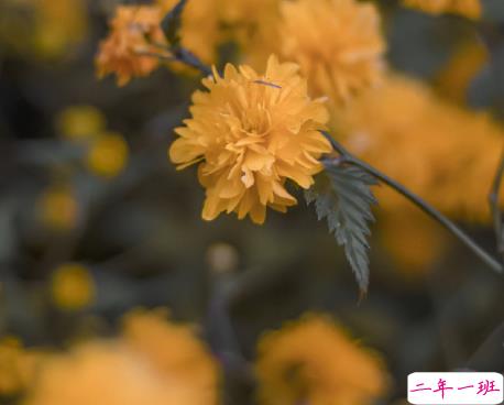 快手文案短句干净简短 快手涨粉的热门干净文案1