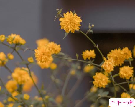 快手文案短句干净简短 快手涨粉的热门干净文案2