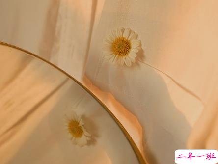 经典网络流行语言大全 网上流行的精辟句子20211