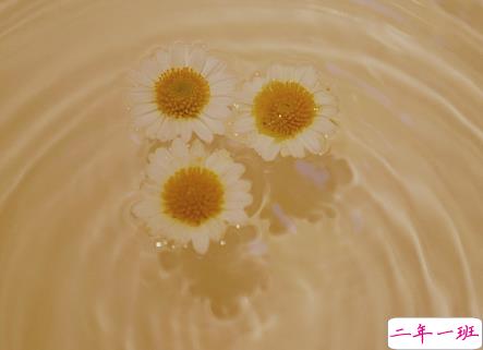 经典网络流行语言大全 网上流行的精辟句子20212