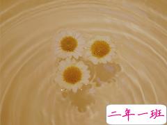 经典网络流行语言大全 网上流行的精辟句子2021