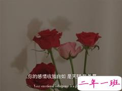 母胎单身狗的心情说说 单身没谈恋爱的心情句子