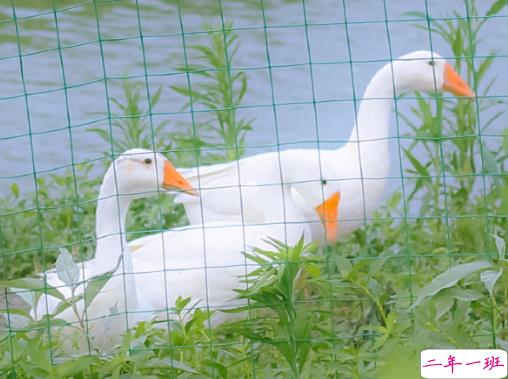 适合四月发朋友圈的文艺句子 2021四月超级文艺的文案合集1