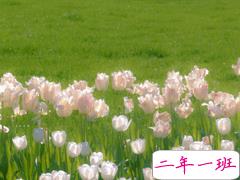 适合四月发朋友圈的文艺句子 2021四月超级文艺的文案合集