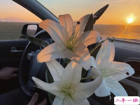 一见钟情的酸酸甜甜朋友圈短句 最新发朋友圈暗恋感觉的句子1