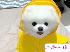 人生坎坷的心得与感悟句子 感慨人生不易的句子