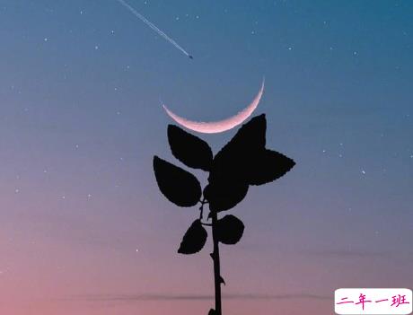 回忆初恋的美好句子优美 形容初恋美好的短句1