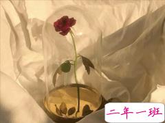 2021励志鸡汤句子 让心灵成长的语录