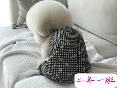 适合挂在微信状态上的简短句子 适合微信状态的简短文案