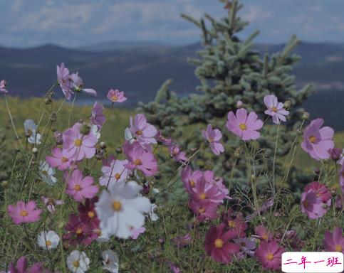 在外地想家的心情说说 外地工作想家的感慨句子2