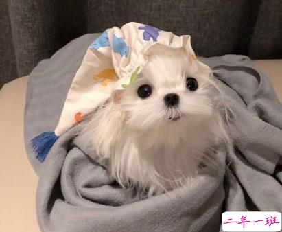 清明节祭英烈寄语简短的 2021清明节缅怀英雄的句子2