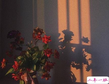 很高冷的朋友圈文案带图片 高冷范女生朋友圈语录配图4