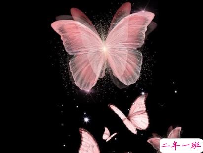 朋友圈伤感文案带图片 唯美伤感的文案句子5