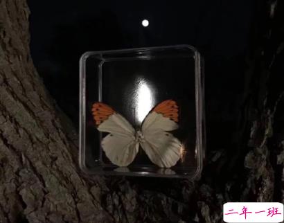 朋友圈伤感文案带图片 唯美伤感的文案句子10