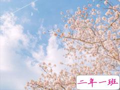 关于爱情的经典很精辟的说说 爱情中很有道理的句子