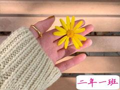 特别卑微的暗恋朋友圈文案 有点伤感的关于暗恋的句子