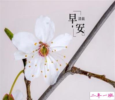 五月第一天的早安励志说说 2021五月你好的正能量句子1