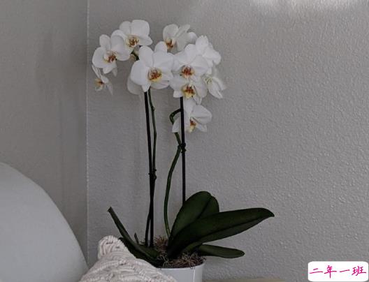 丧女孩的熬夜失眠文案 适合女孩子的失眠句子2