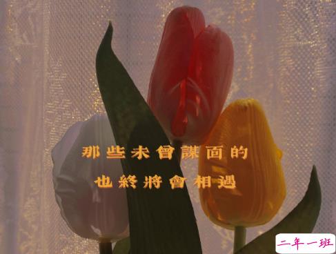 丧气又卑微的短句 丧气满满的短句1