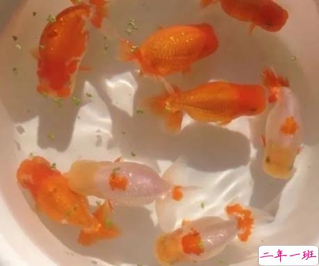 前男友结婚了的心情说说 前任结婚了心酸的句子2