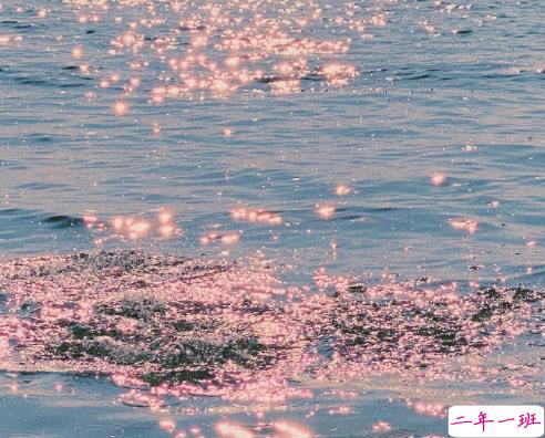 让你变的温柔也能够治愈你的短句 2021特别甜的暖心句子2