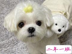 元气满满的很阳光的朋友圈句子 今年我要努力成为快乐总冠