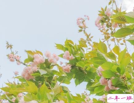 五一旅游拍照发朋友圈的句子 很热门的配文朋友圈文案可爱1