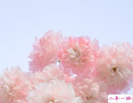 五一旅游拍照发朋友圈的句子 很热门的配文朋友圈文案可爱2