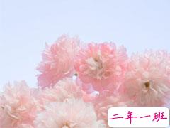 五一旅游拍照发朋友圈的句子 很热门的配文朋友圈文案可爱