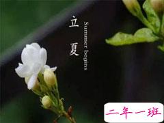 2021立夏的早安祝福语说说 立夏唯美的朋友圈祝福语