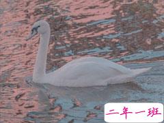 适合微信状态的简洁文案 最新最热门的微信状态