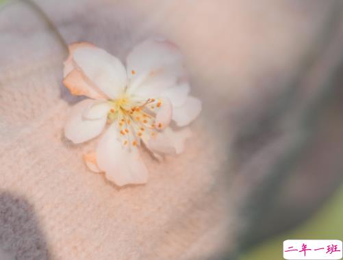 2021最新的日常美好生活文案 很日常的温暖句子1